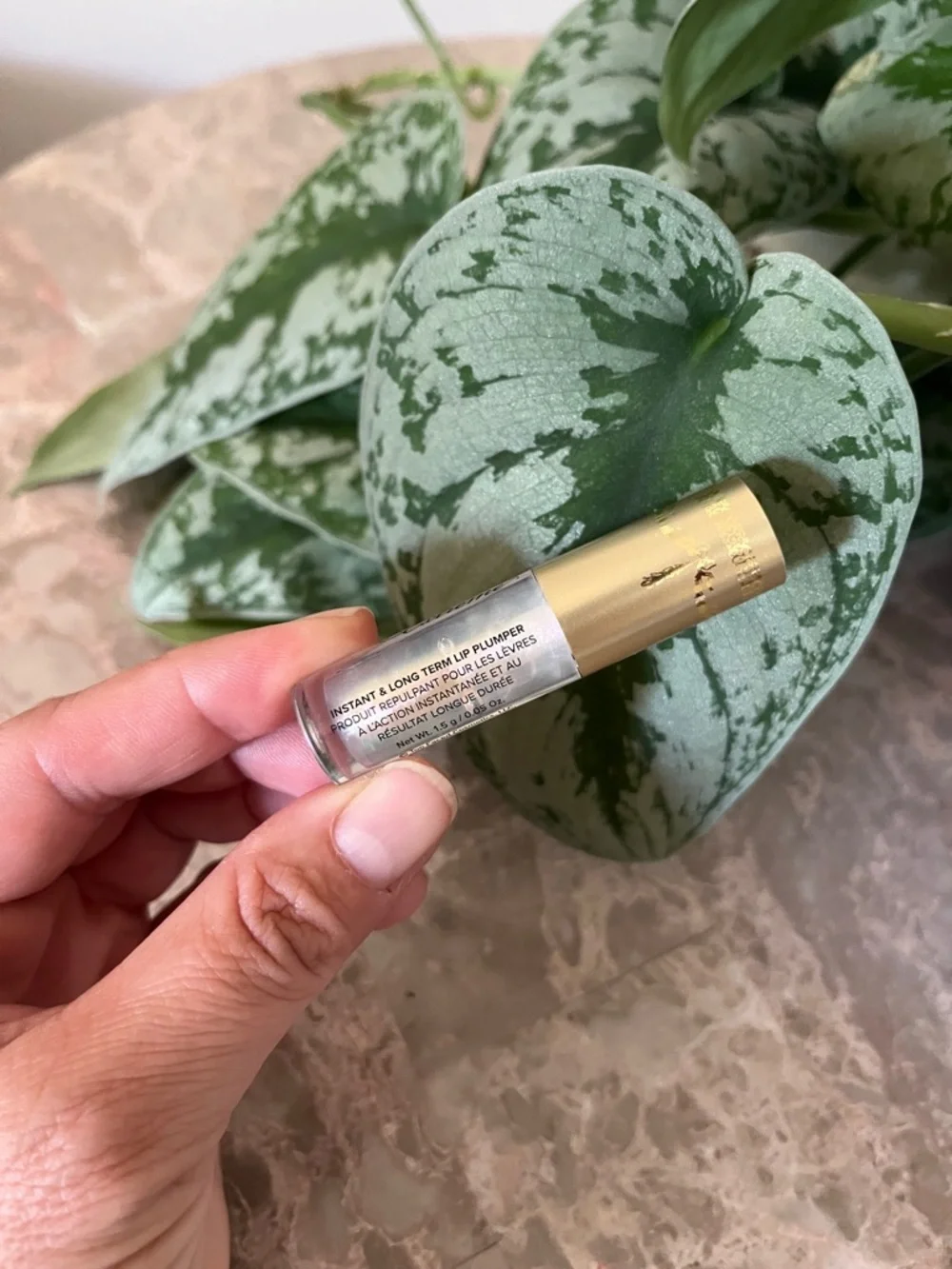 Too Faced Lip Injection Extreme 1.5g + 1 Set Black Lashes Adhesive